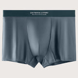 Luxe Soie Glacée Boxer Homme