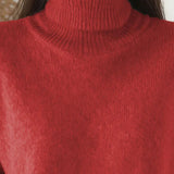 Pull Col Roulé Style Décontracté