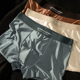Luxe Soie Glacée Boxer Homme